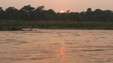 日落宁静的河夏天太阳反映平静水绿色海岸奇旺国家Safari公园尼泊尔毡帽首页孟加拉老虎鳄鱼<strong>印度</strong>犀牛大象